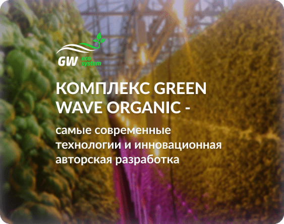 комплекс green wave organic