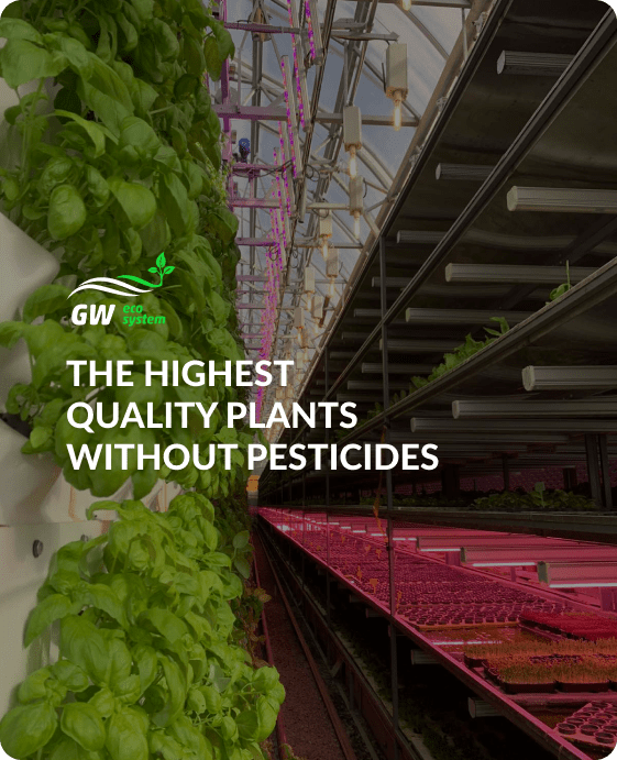 plants without pesticides