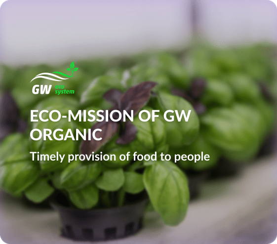 eco mission green wave
