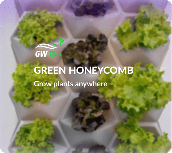 green honeycomb