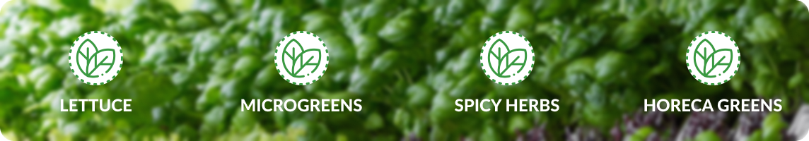 greenery food